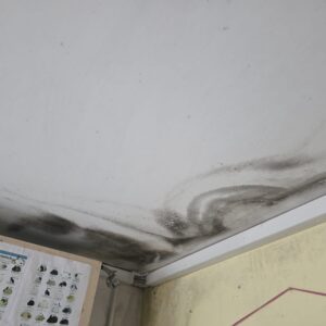 Feed room appeal Ferne