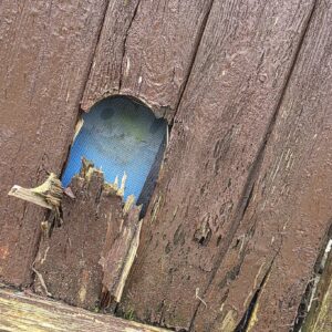 Ferne feed room appeal