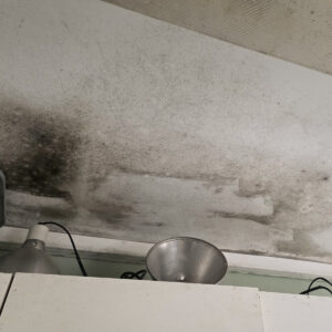 Ferne feed room appeal