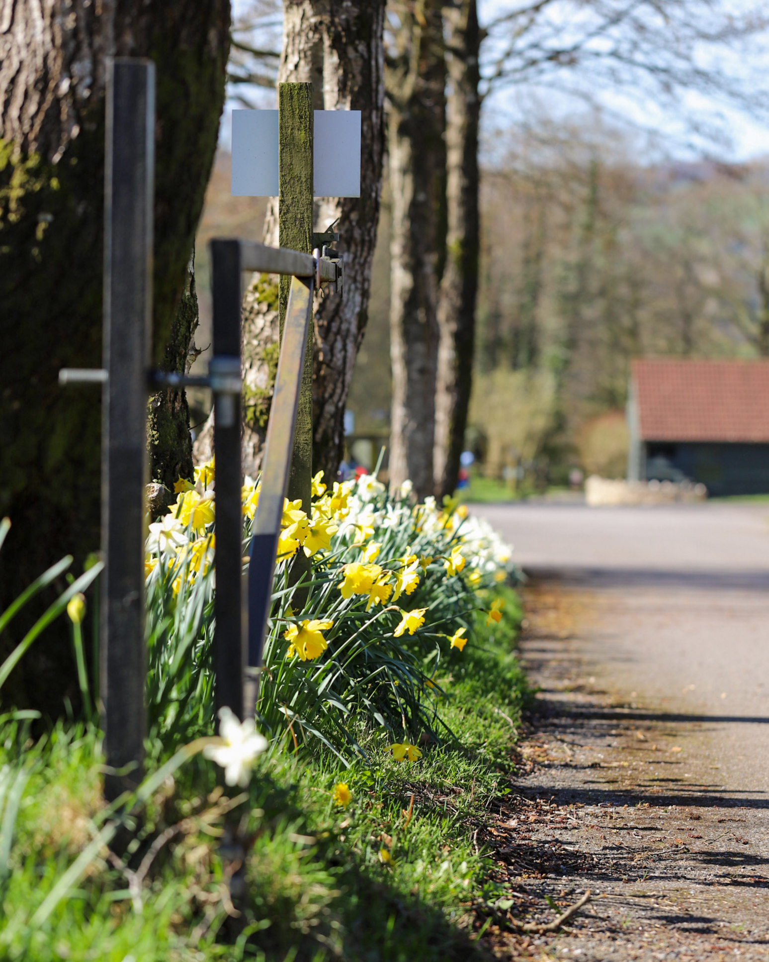 Visiting Ferne Animal Sanctuary