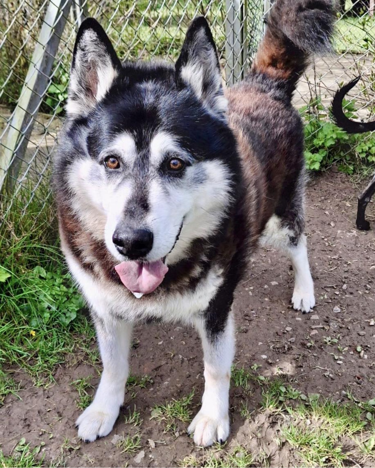 Please support Bailey’s sponsored slim