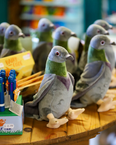 Soft toys Ferne Animal Sanctuary gift shop