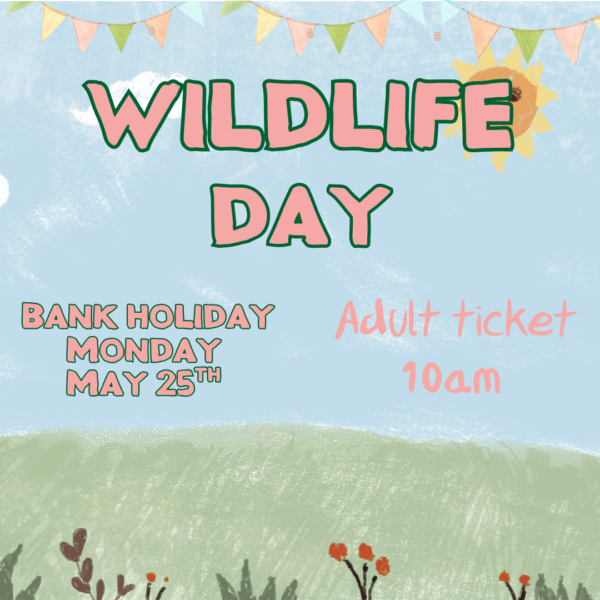 Wildlife Day at Ferne Child 10am