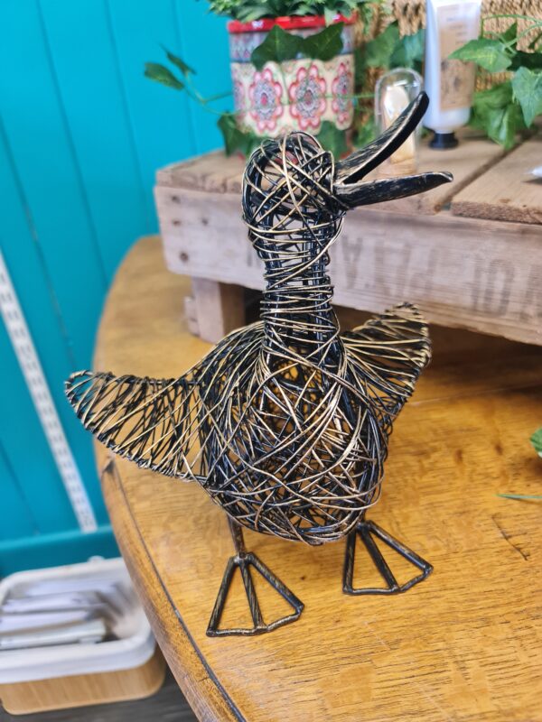 Janvhi The Duck wire ornament