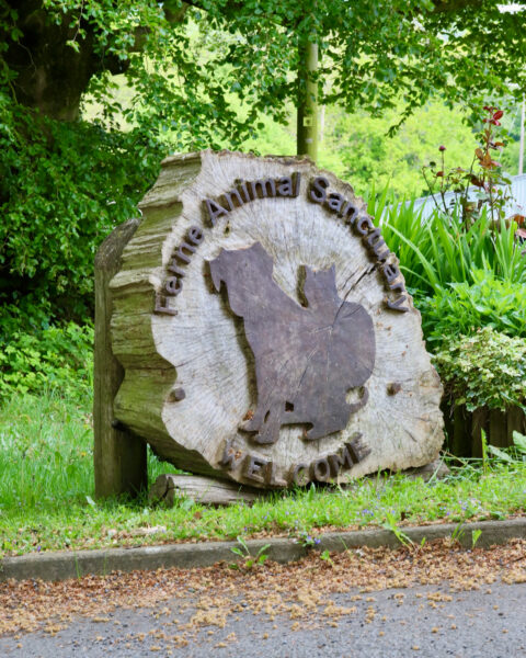Things to do in Somerset Days Out Ferne Tours