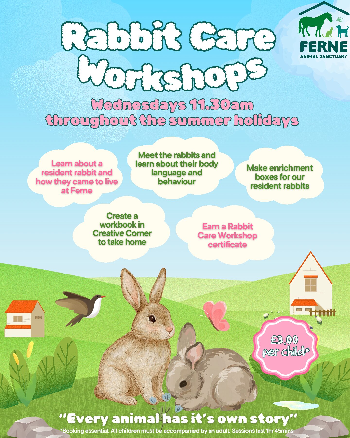Rabbit Care Workshops