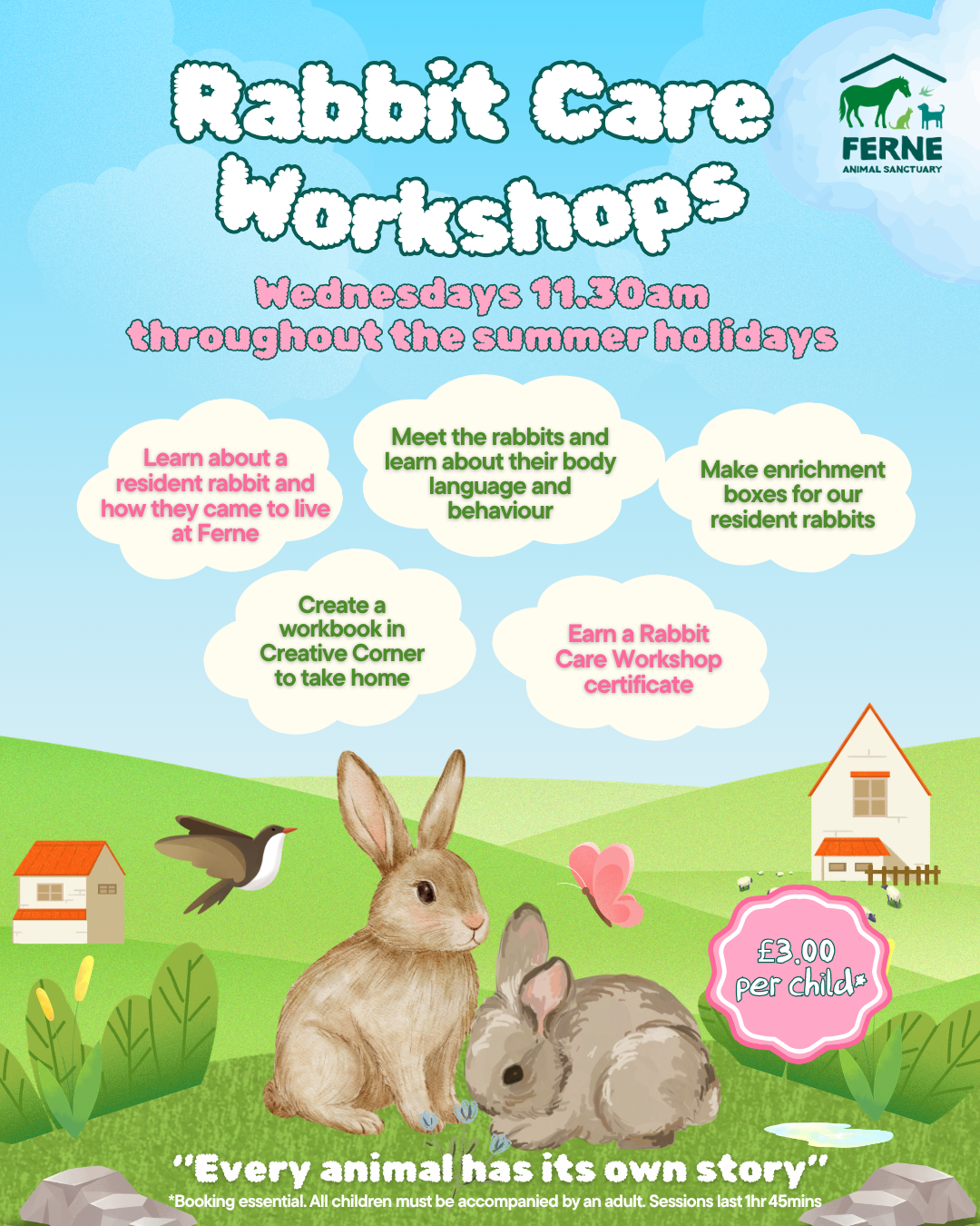 Ferne rabbit care workshops