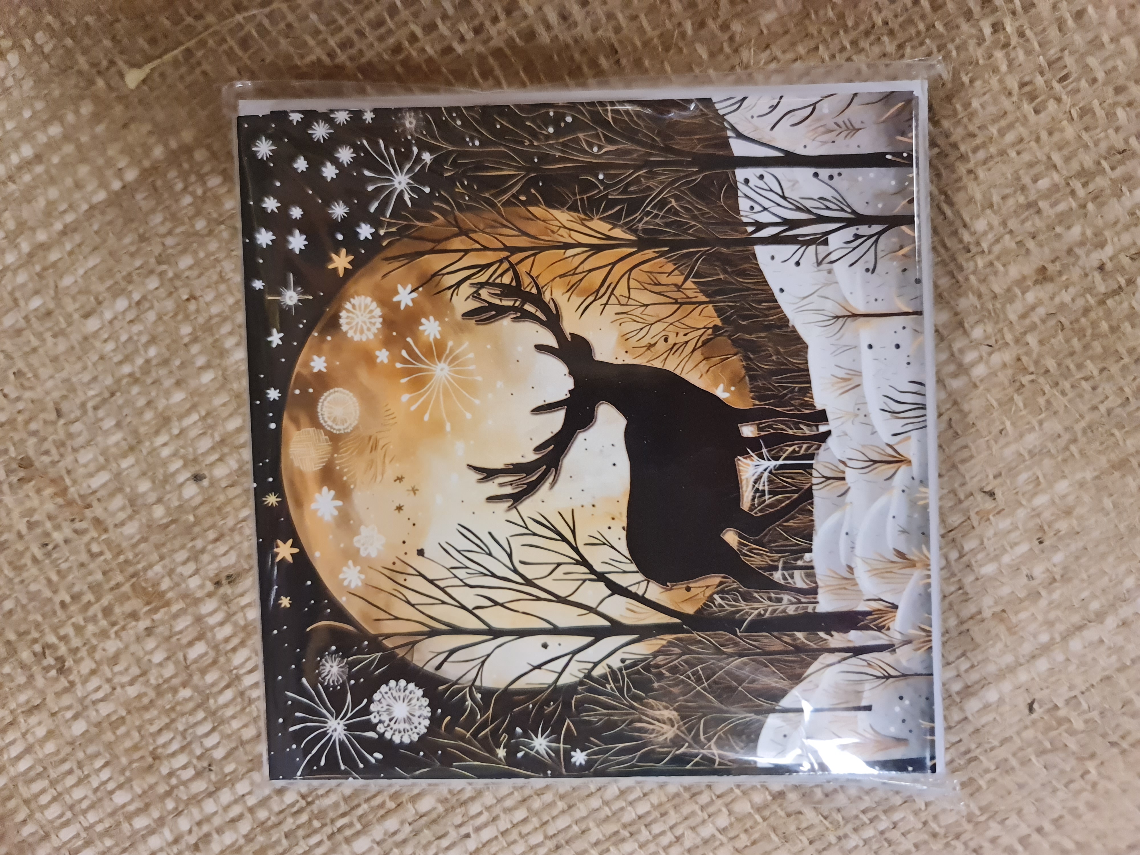 Moonlight Friends Christmas Cards Pack of 10