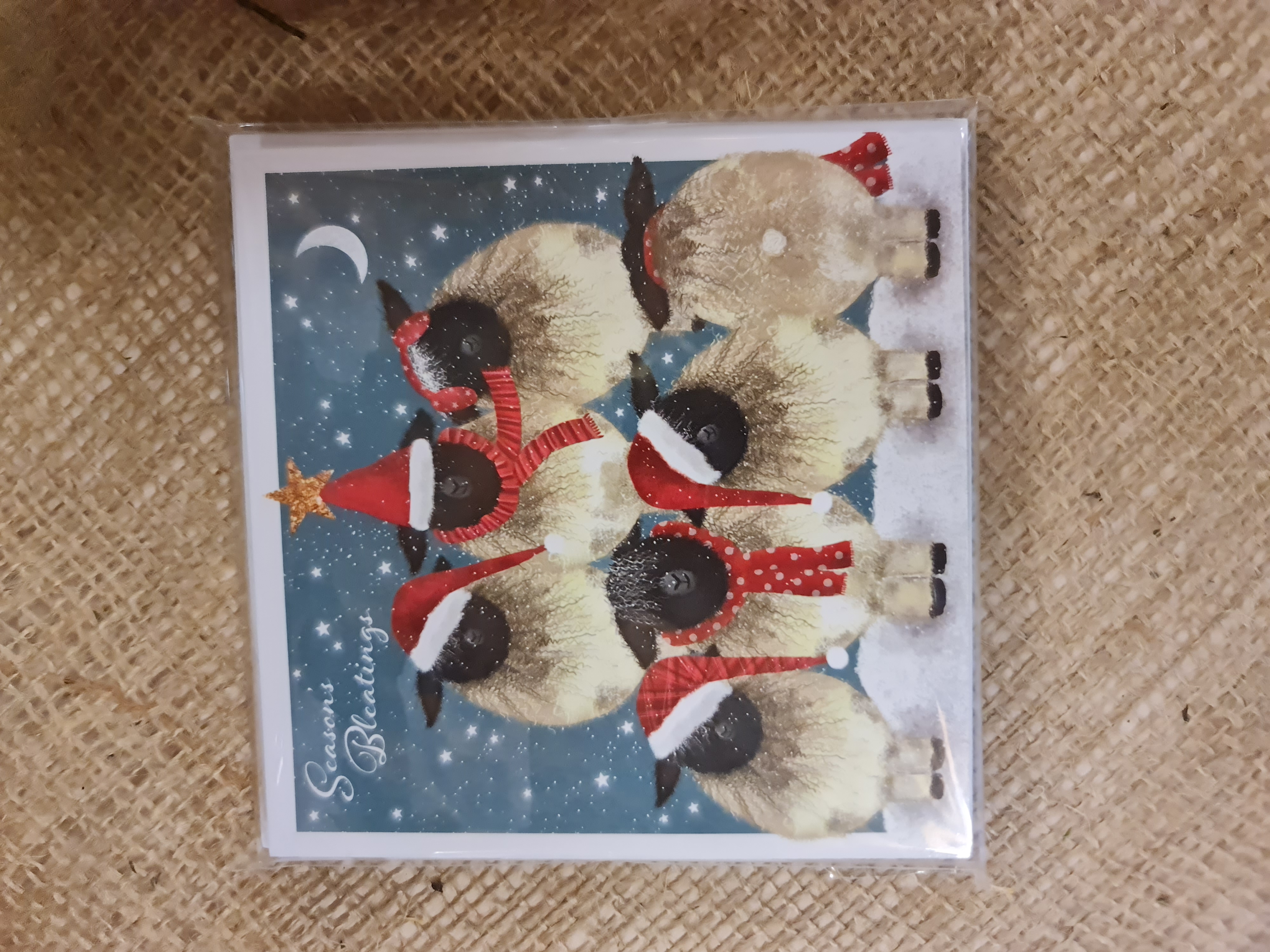 Seasons Bleatings Christmas Cards Pack of 10