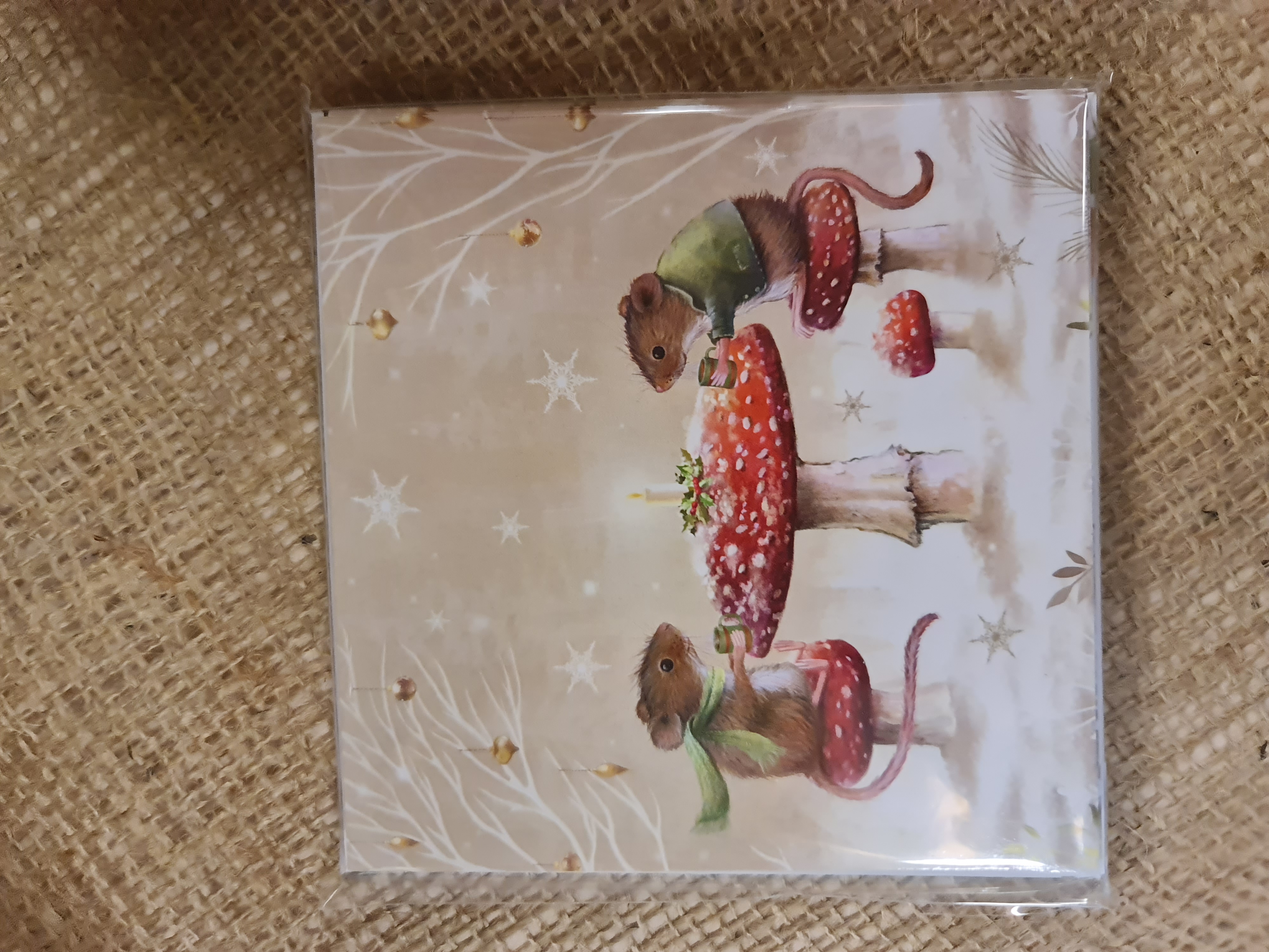 Merry Christ-mouse Twin Pack Christmas Cards x 10
