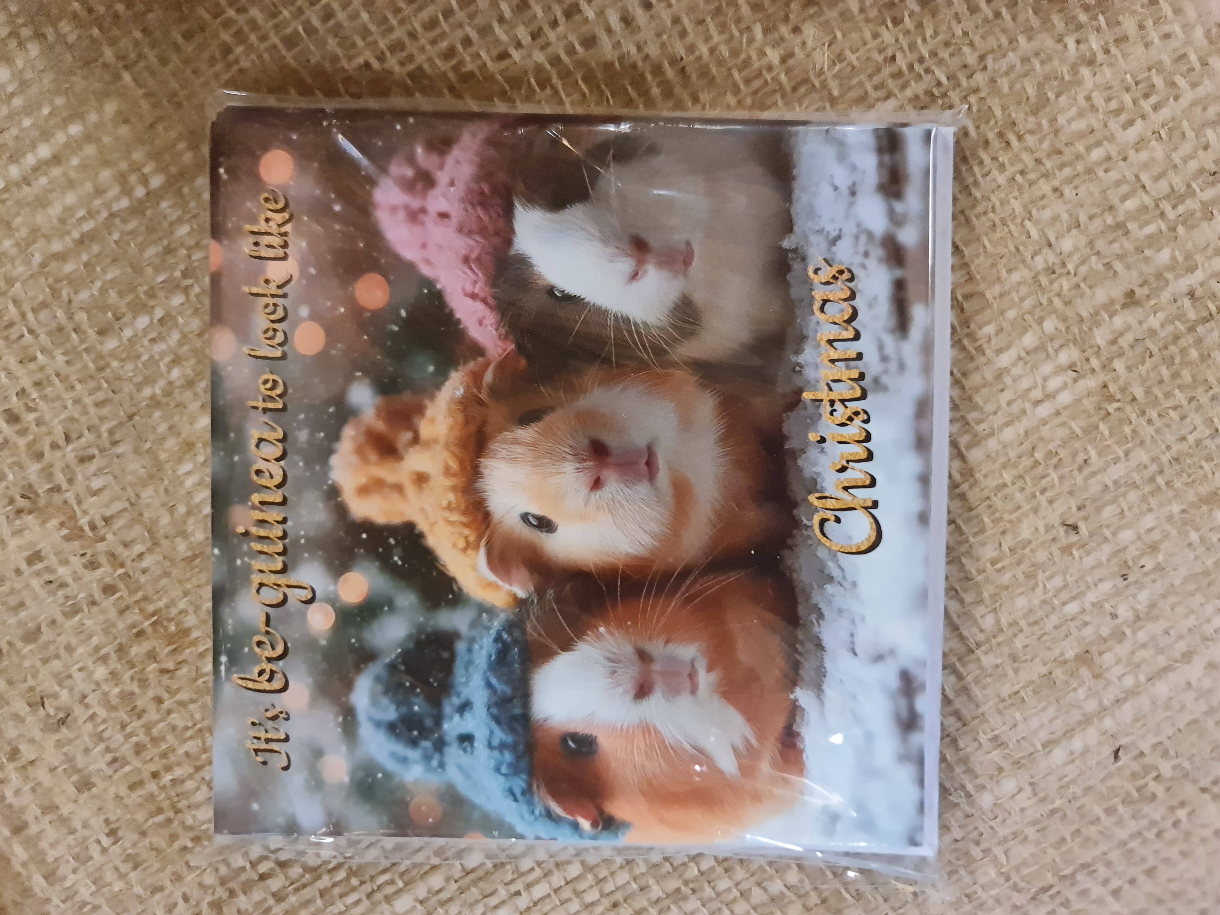 It's Be-Guinea To Look Like Christmas 10 pack Cards