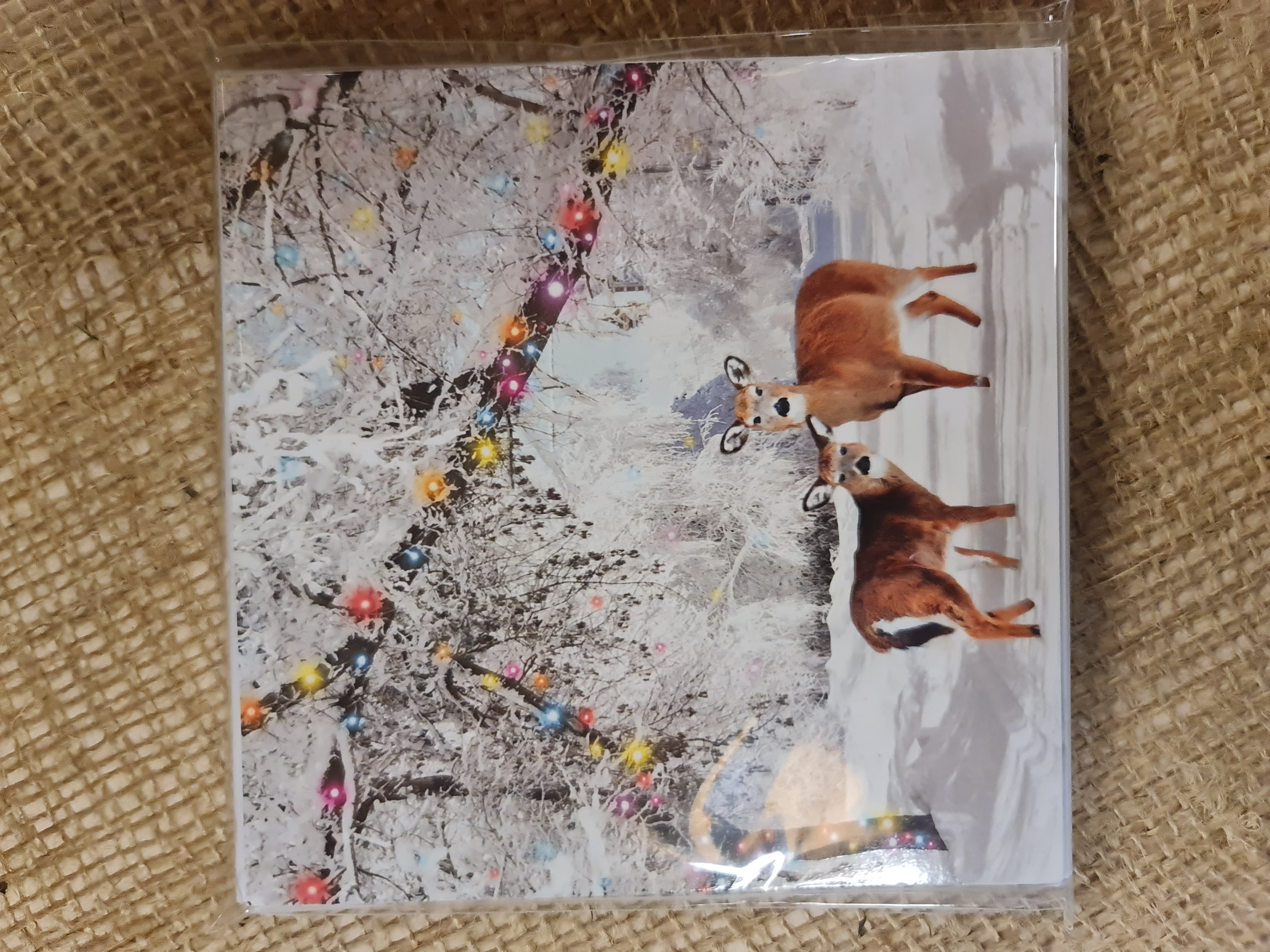 Twinkling Deer Twin Pack Christmas Cards x 10