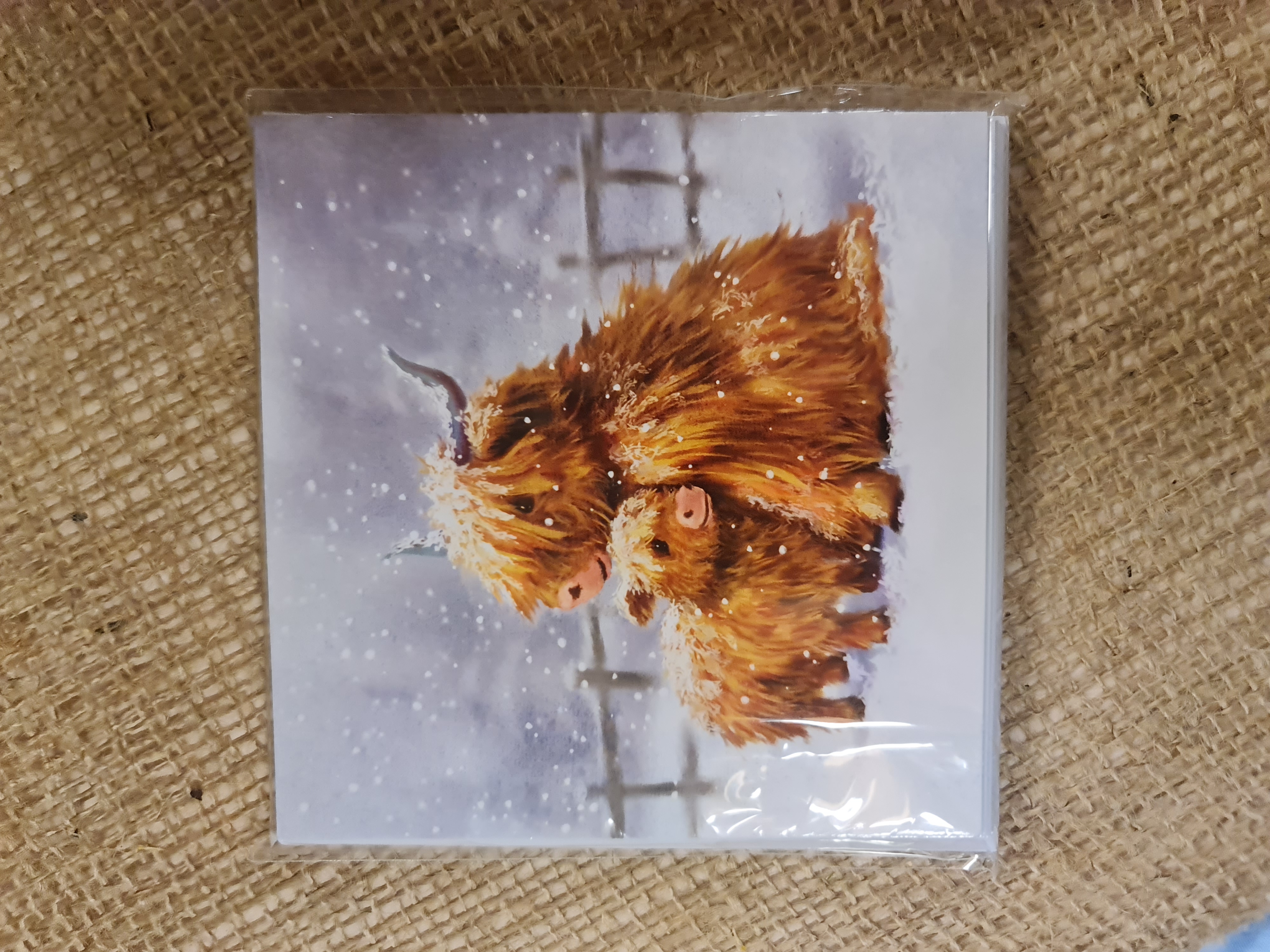 Highland Cow Christmas Cards Twin Pack -10 cards