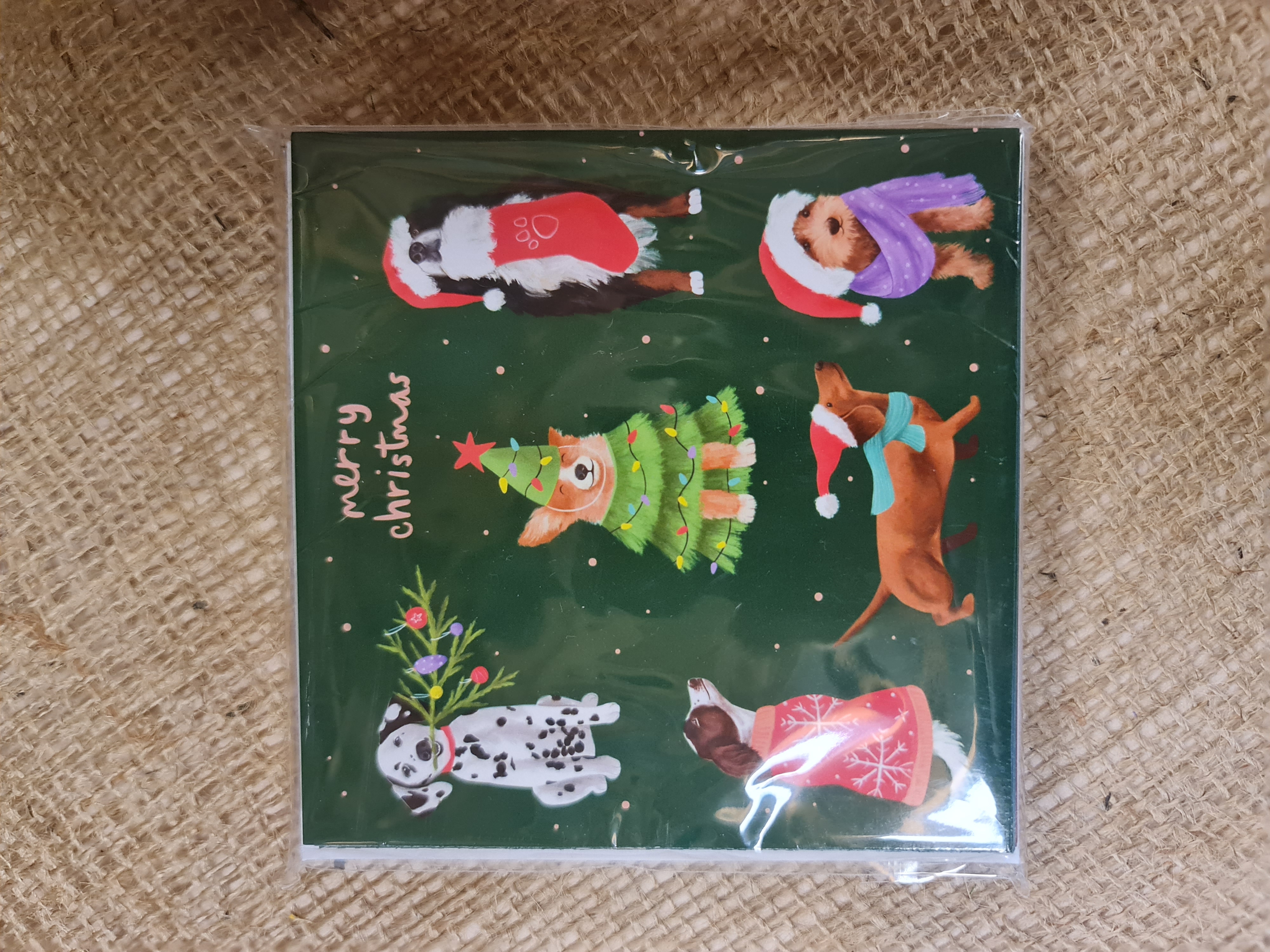 Cats & Dogs Twin Pack Christmas Cards Pack of 10