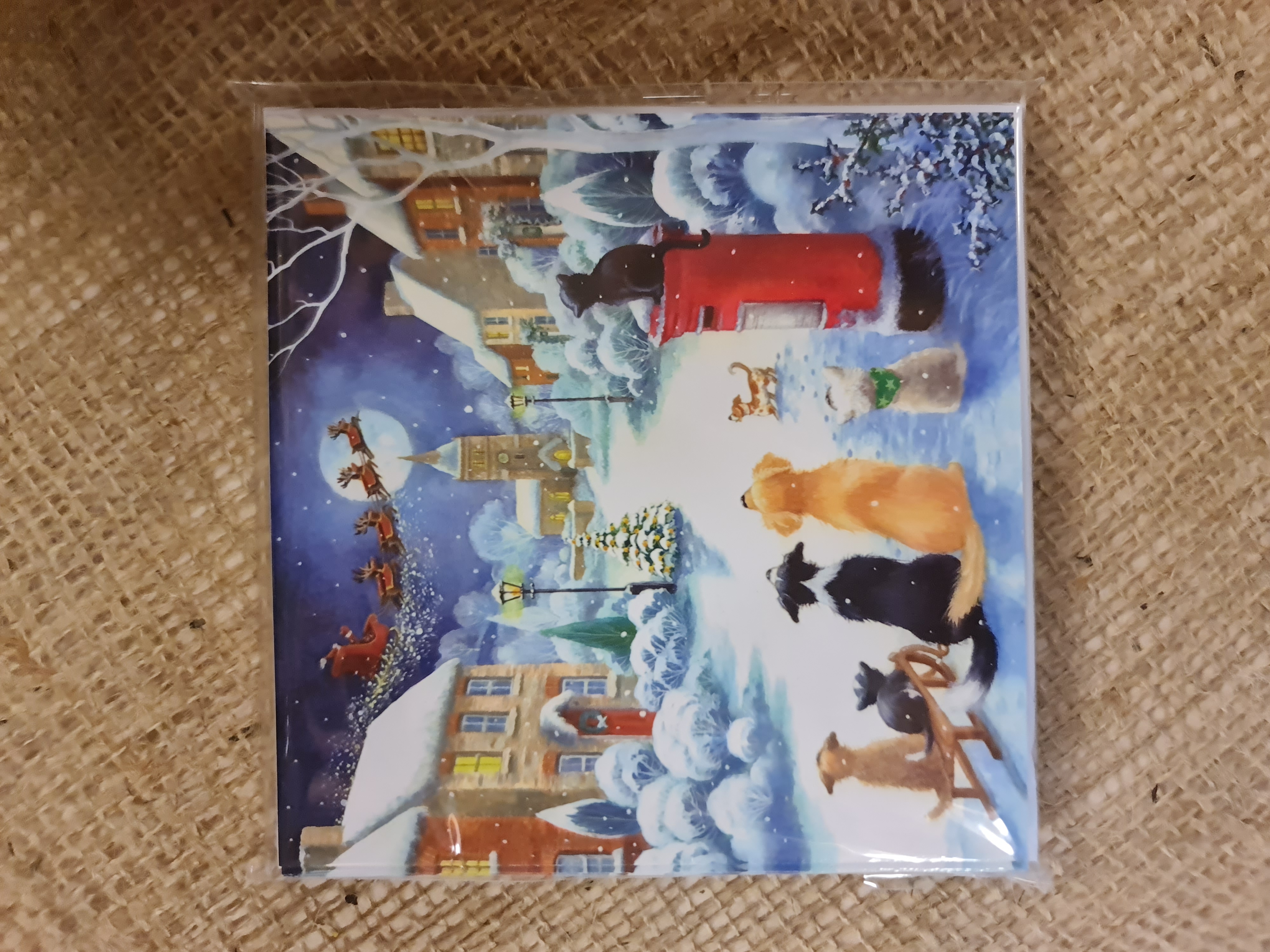 Watching For Santa Christmas Cards pack of 10
