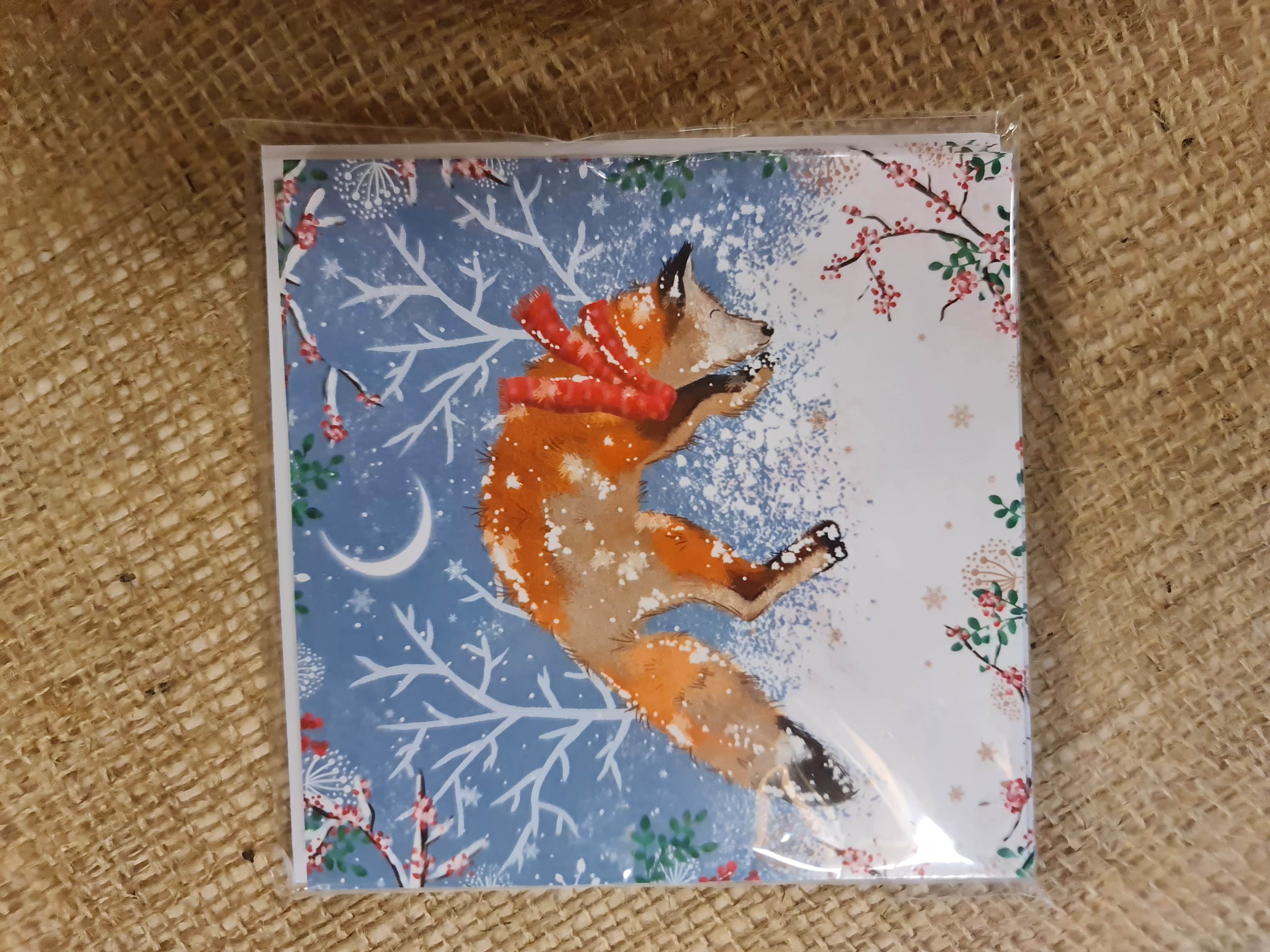Fox in a Flurry Christmas Card Pack of 10