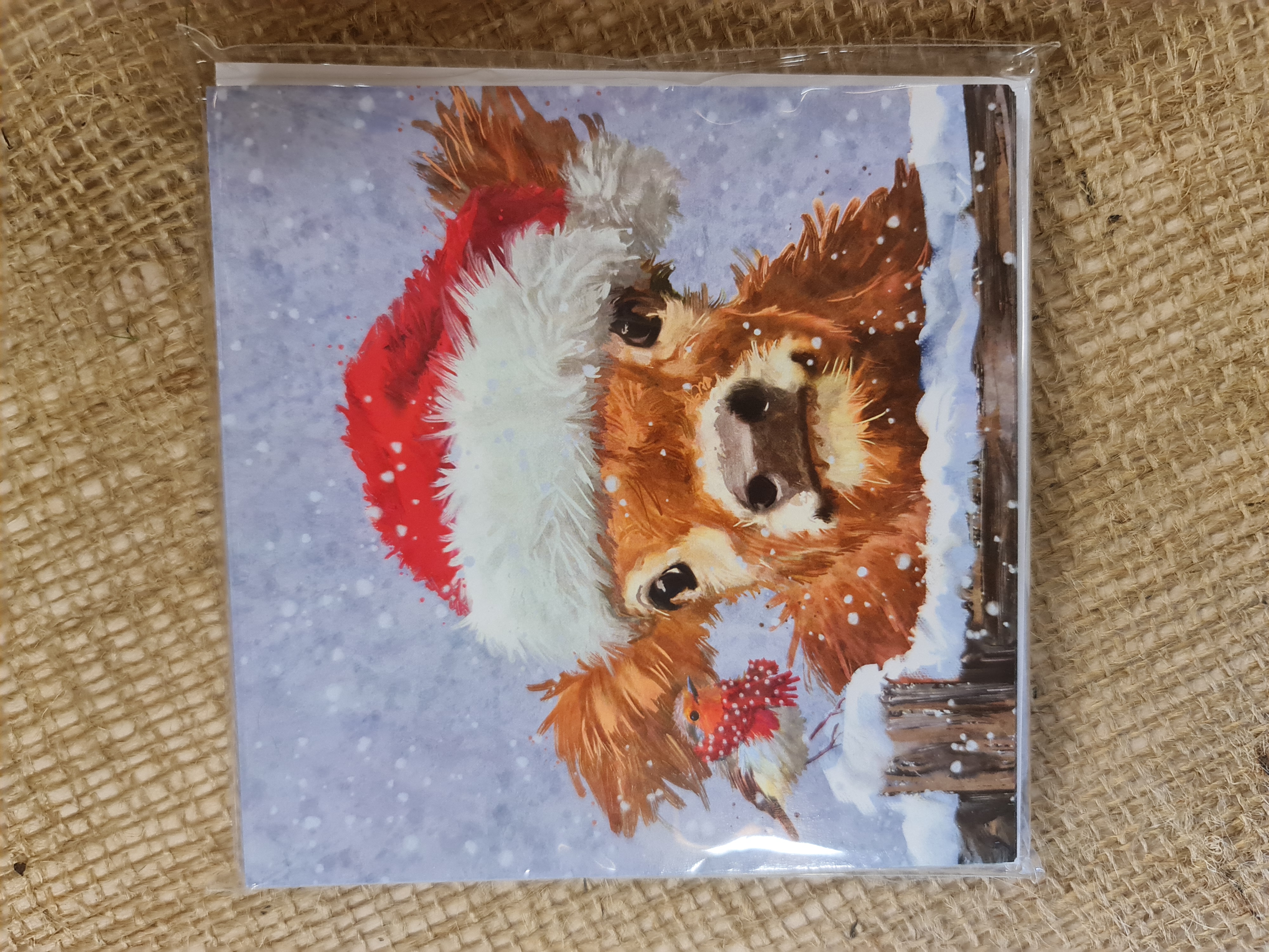 Festive Friends Christmas Card Pack of 10