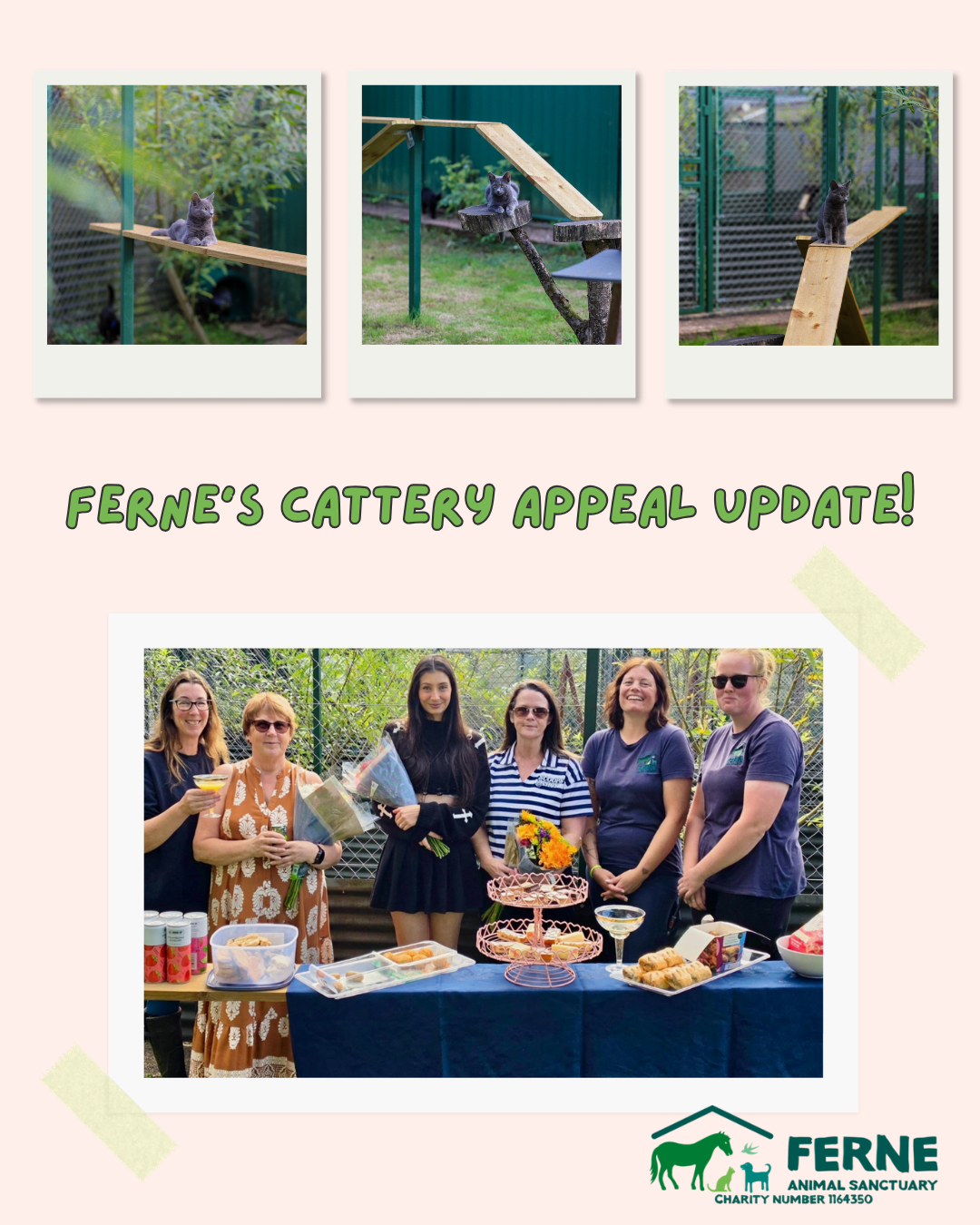 Cattery appeal update